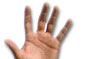 Jimmy Clausen